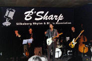 02.mike_andersen_band