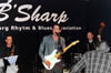 03.mike_andersen_band